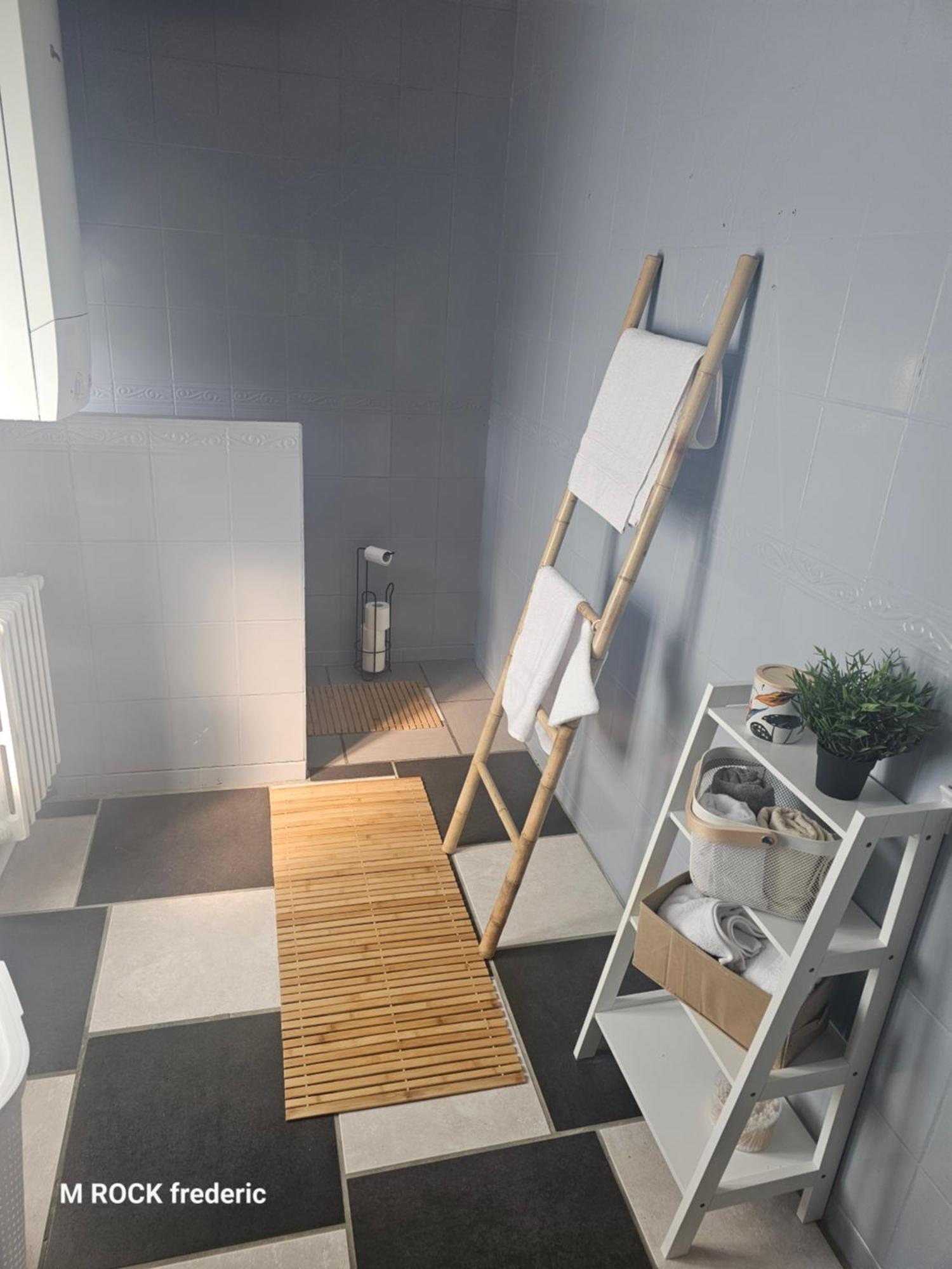 Maison De Ville Avec Jardin Privatif ヌヴェール エクステリア 写真